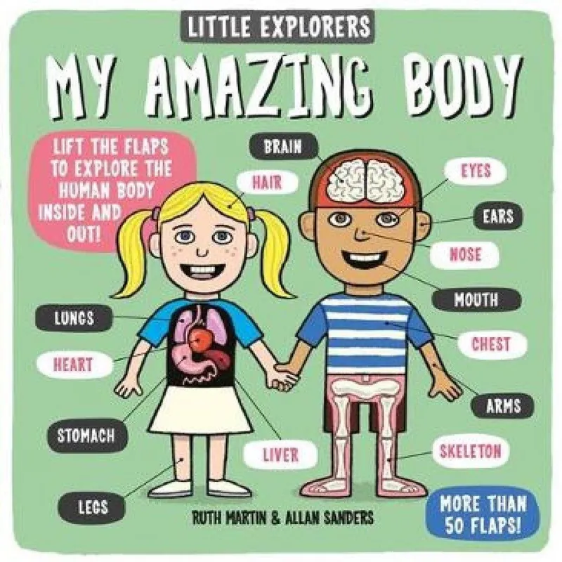 Ruth Martin Little Explorers: My Amazing Body Board book Book Multicolor