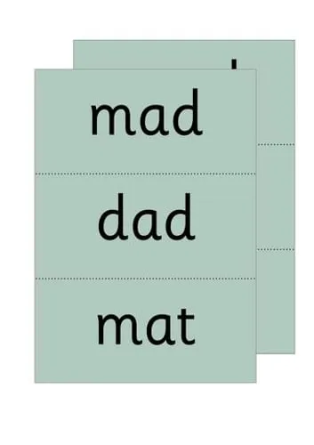 Ruth Miskin Read Write Inc. Phonics: Green Word Cards