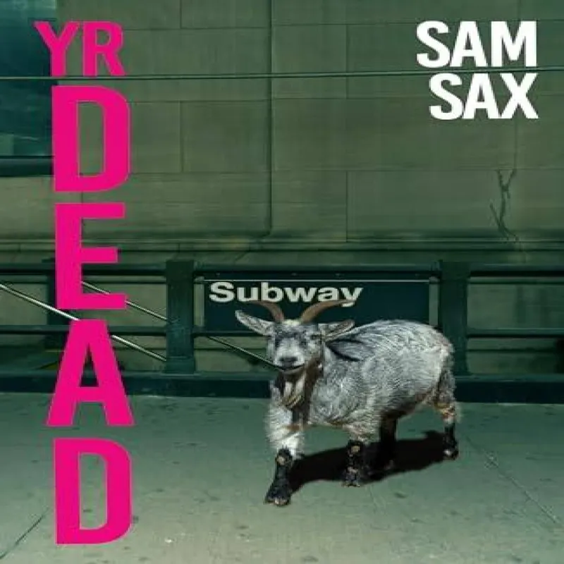 Sam Sax Yr Dead Paperback Book Multicolor