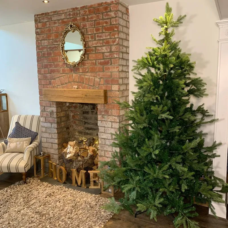 Samuel Alexander Everlands 240cm (8ft) Green Grandis Fir Real Look Christmas Tree 2935 Tips