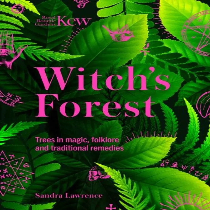 Sandra Lawrence Witch's Forest Hardback Book Multicolor