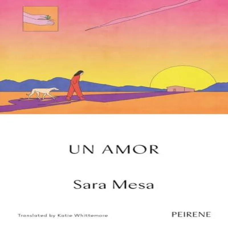 Sara Mesa Un Amor