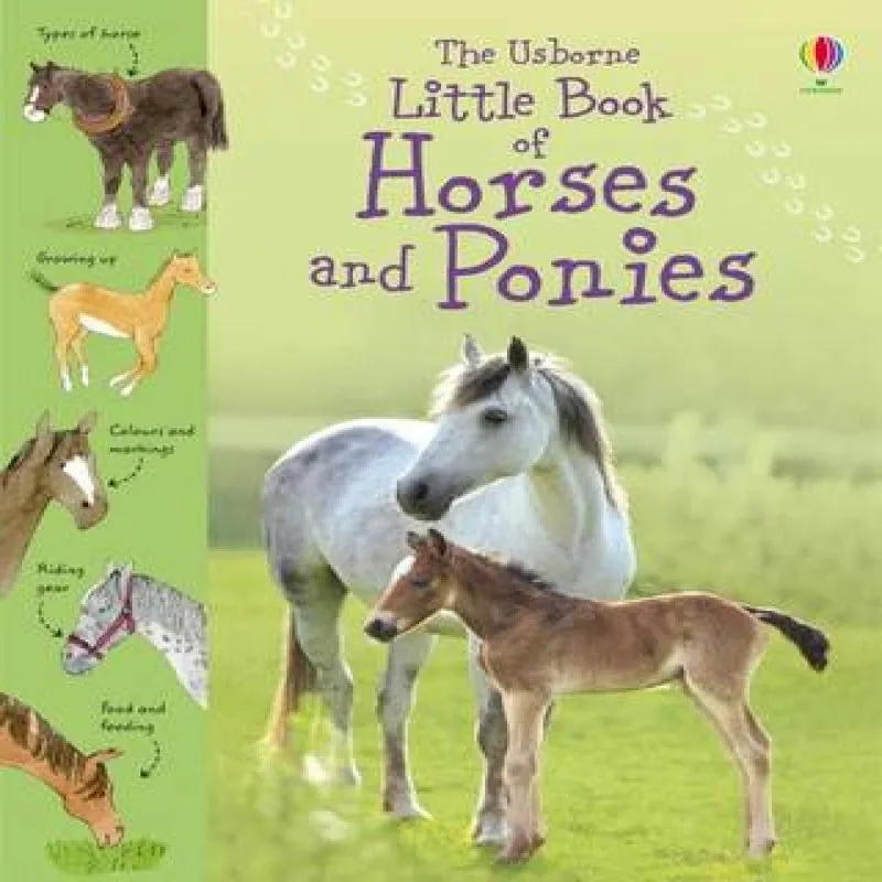 Sarah Khan Little Book of Horses & Ponies Hardback Multicolor