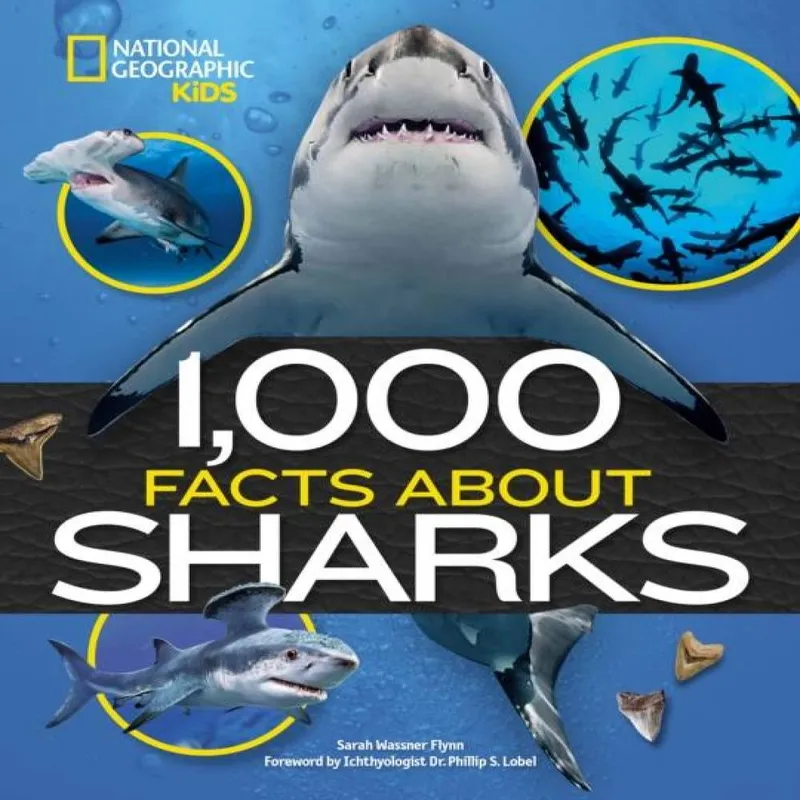 Sarah Wassner Flynn 1,000 Facts About Sharks