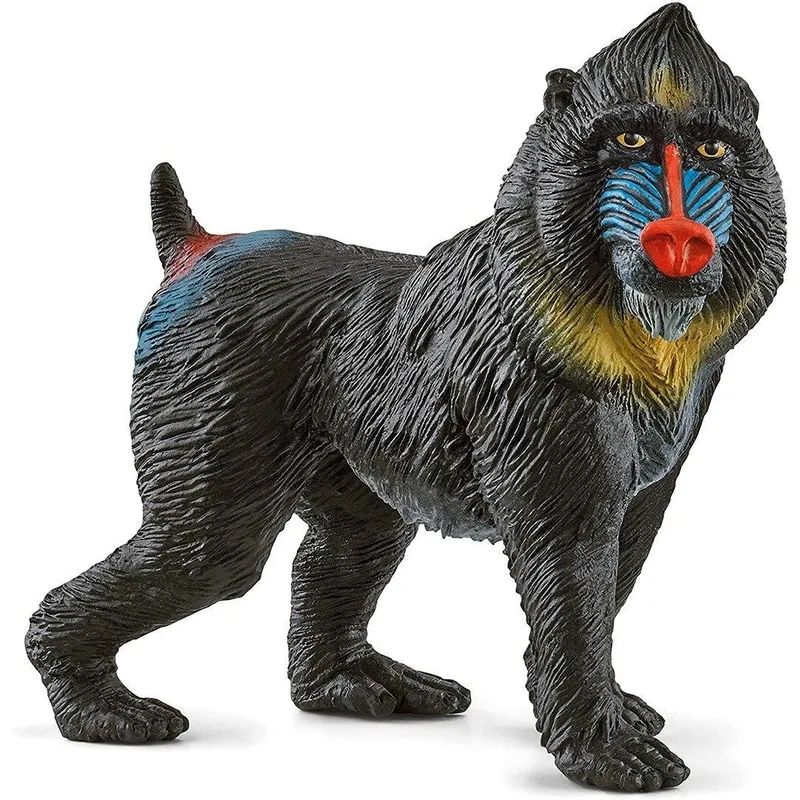 Schleich 14856 Wild Life Mandrill Multicolor