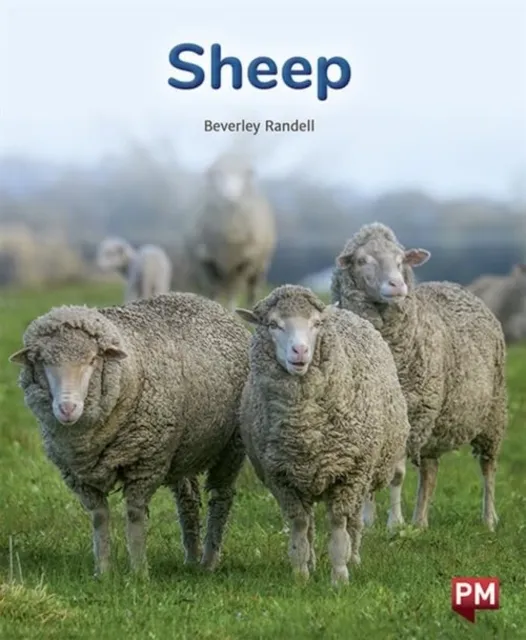 Scholastic Ltd Sheep
