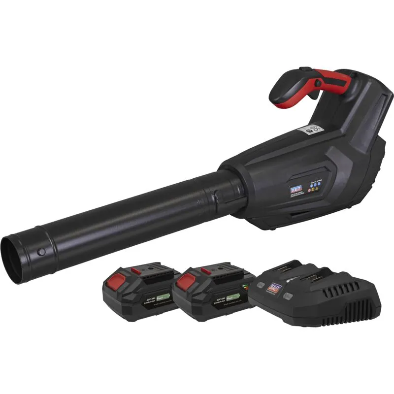 Sealey CP40VB Twin 20v Cordless Leaf Blower 2 x 4ah Li-ion Battery Charger