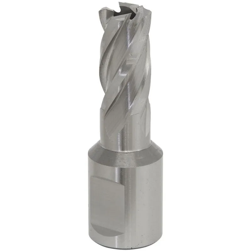 Worksafe RBHSS13S Rotabor Cutter Hss Ø13mm - Cut Depth 25mm