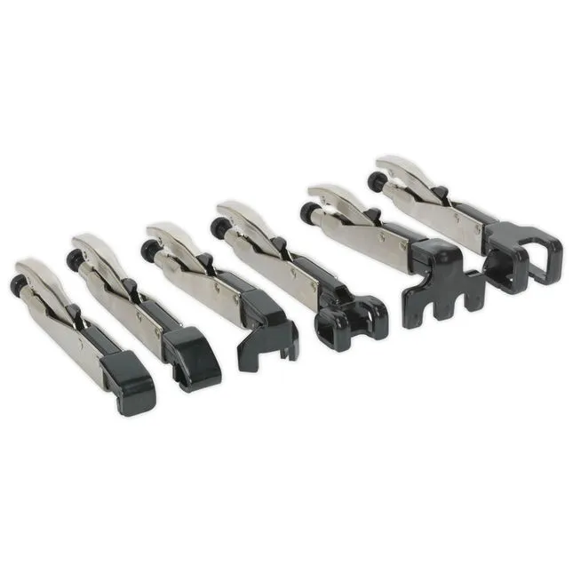 Sealey 6 Piece Axial Locking Grip Clamp Set
