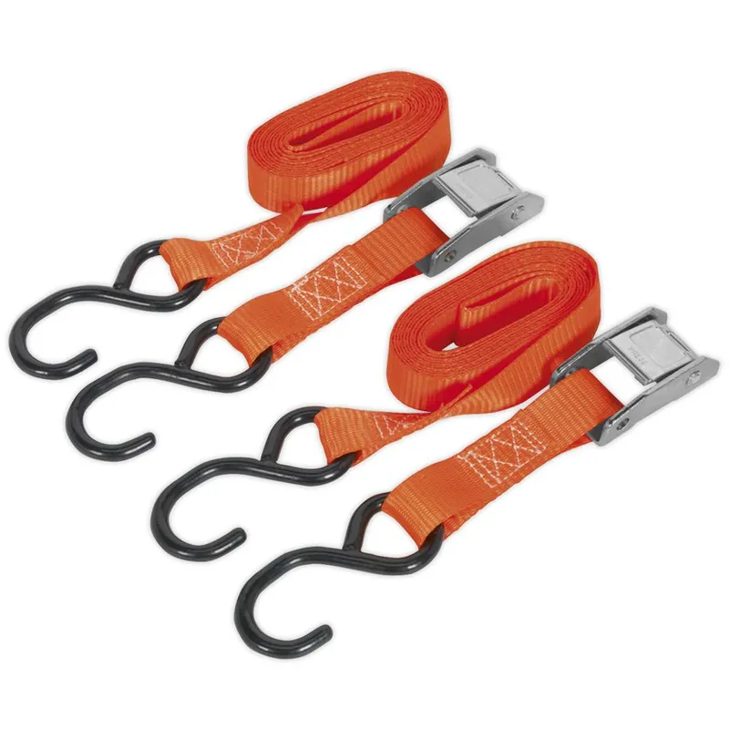 Sealey Cam Buckle Tie Downs Strap 25mm 2.5m 250kg