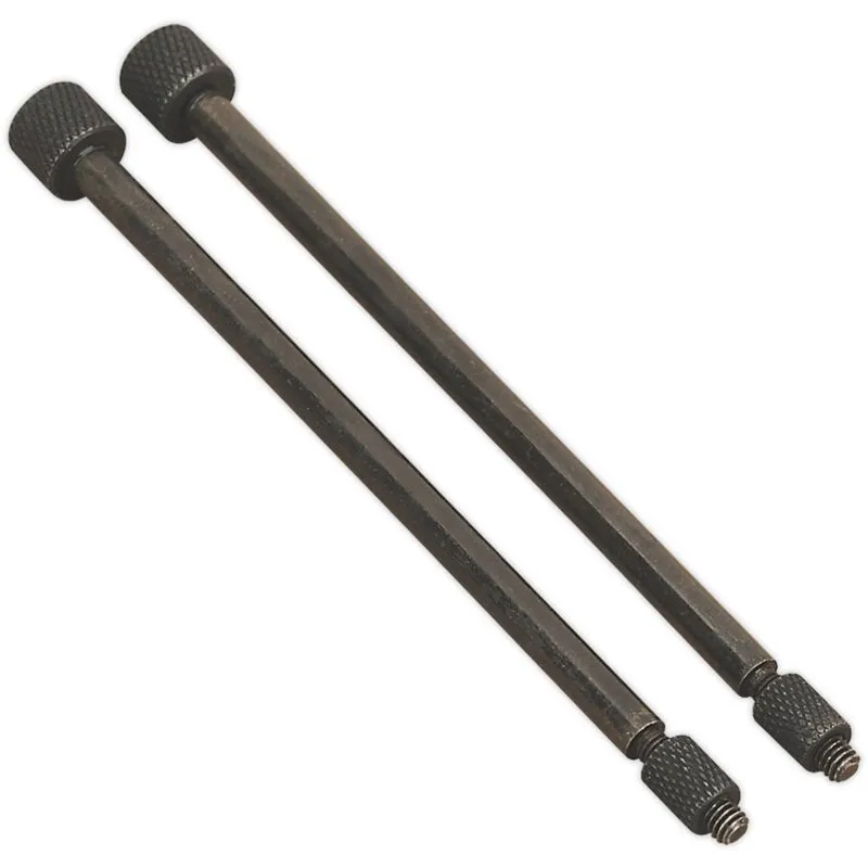 Sealey - Door Hinge Removal Pin �5.5 x 110mm Pack of 2 VS803/04