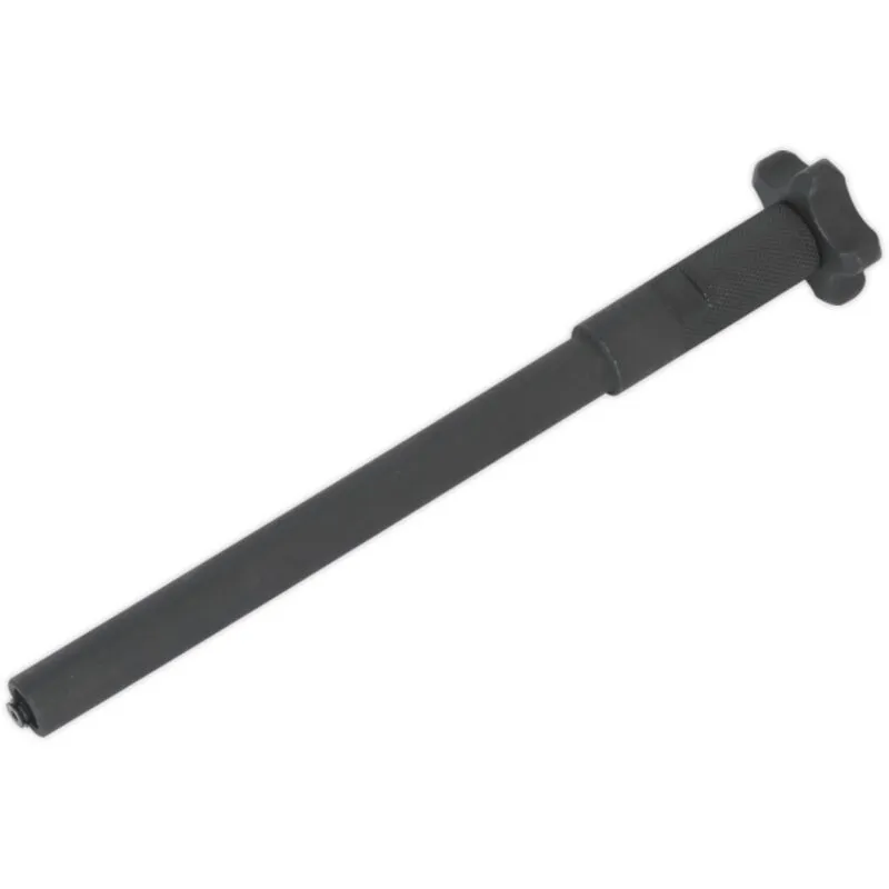 Sealey Injector Seal Removal Tool VS2054