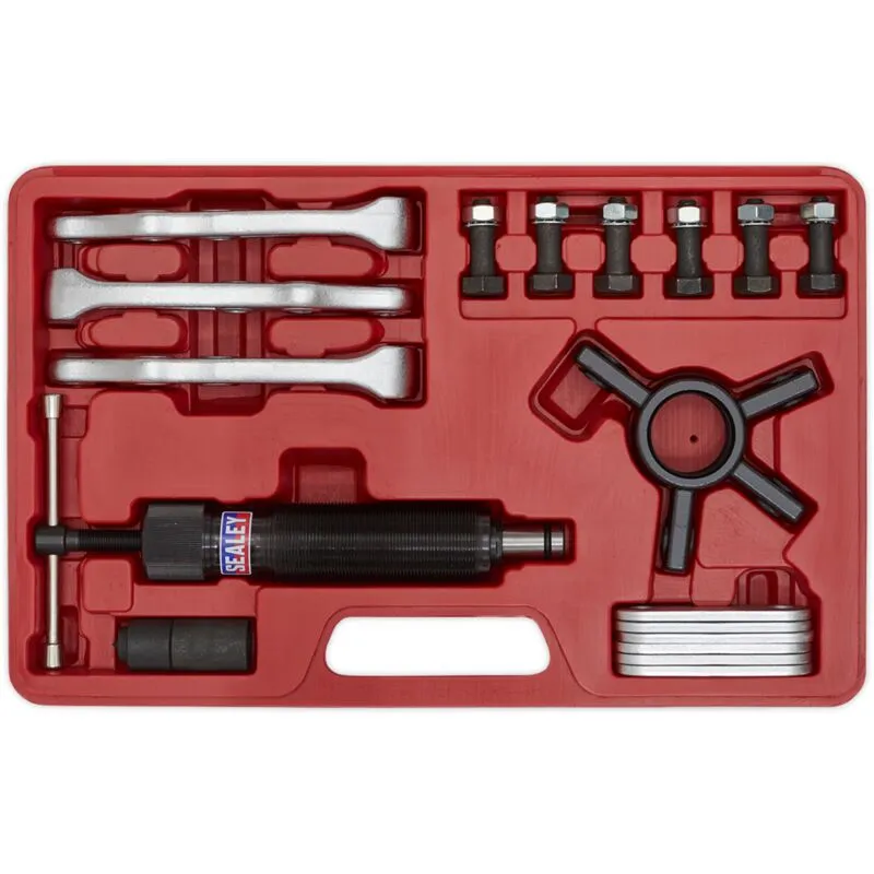 Sealey - PS981 Hydraulic Puller Set 19pc