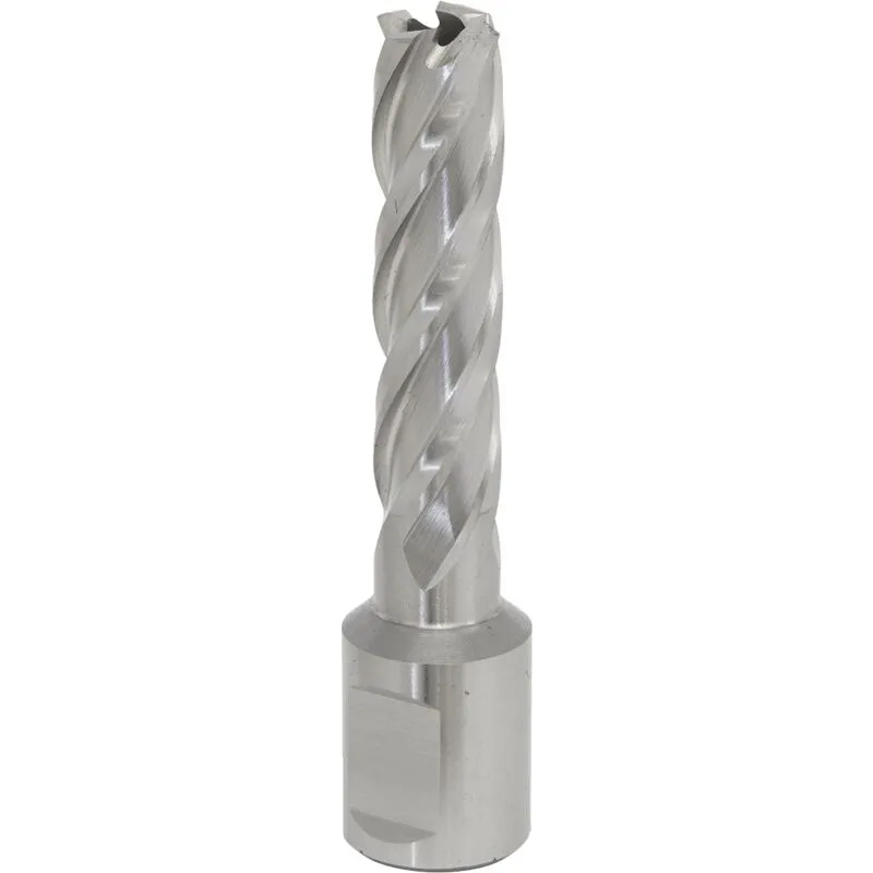 Worksafe RBHSS13L Rotabor Cutter Hss Ø13mm - Cut Depth 50mm