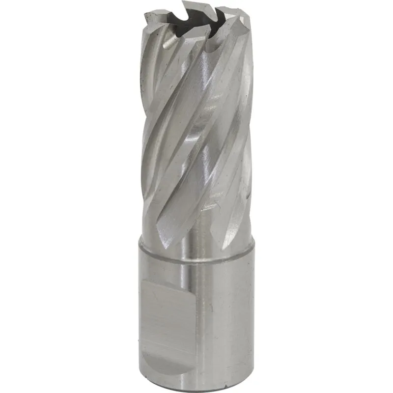 Worksafe RBHSS18S Rotabor Cutter Hss Ø18mm - Cut Depth 25mm