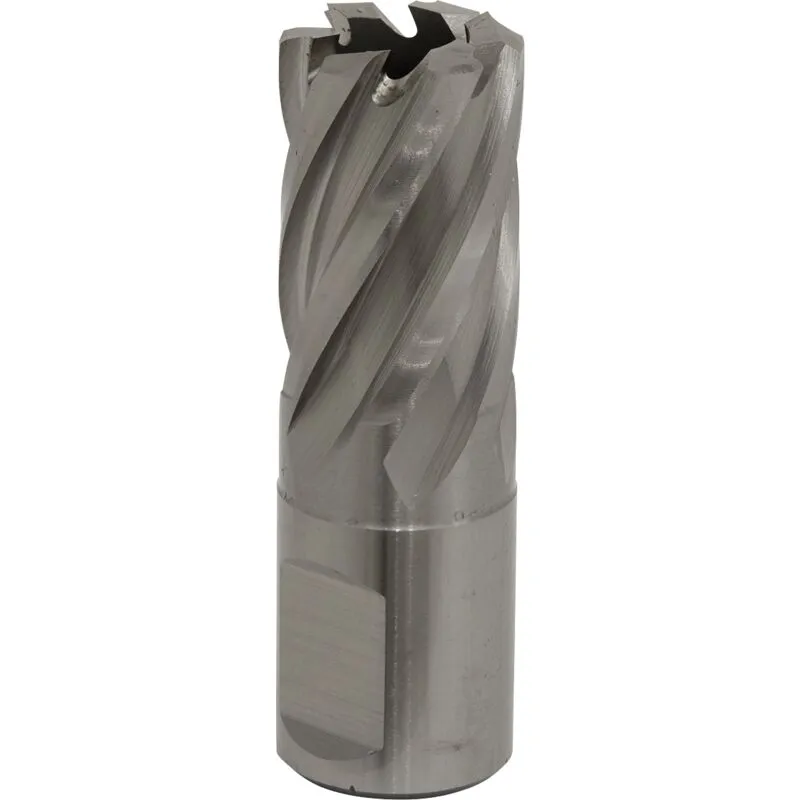 Worksafe RBHSS19S Rotabor Cutter Hss Ø19mm - Cut Depth 25mm