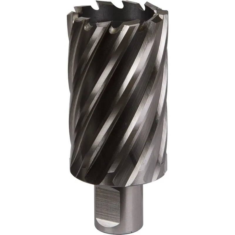 Worksafe RBHSS38L Rotabor Cutter Hss Ø38mm - Cut Depth 50mm
