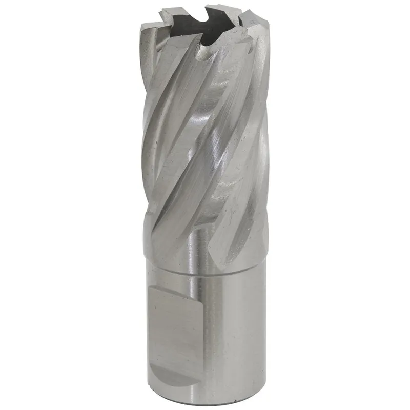 Worksafe RBHSS20S Rotabor Cutter Hss Ø20mm - Cut Depth 25mm