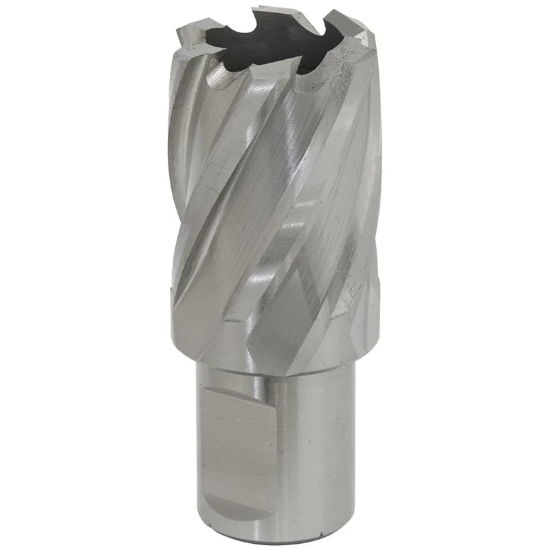 Sealey Rotabor Weldon Shank Hss Mag Drill Cutter 25mm 25mm