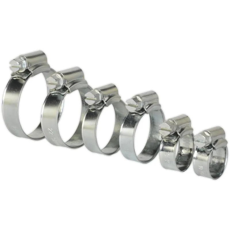 Sealey - SHCS1 Zinc Plated Hose Clip Assortment 8-29mm 30pc
