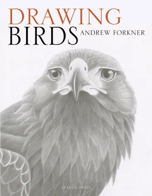 Andrew Forkner Drawing Birds