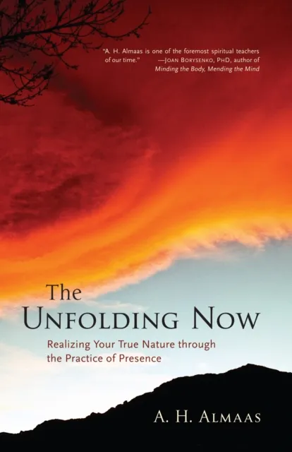 Shambhala Publications Inc The Unfolding Now : Realizing Your True Nature Through The Practice Of Presence