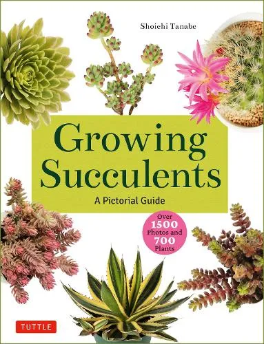 Shoichi Tanabe Growing Succulents