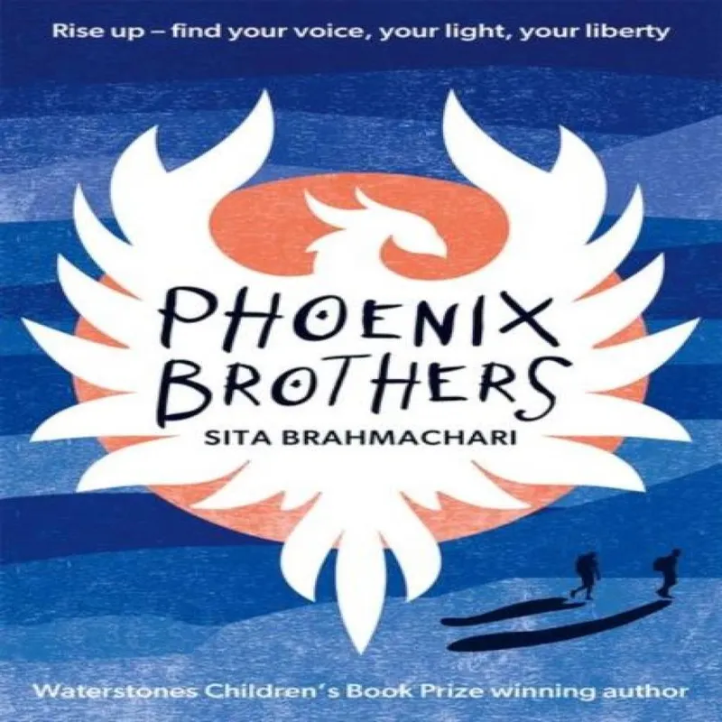 Oxford University Press Super-Readable Rollercoaster: Phoenix Brothers