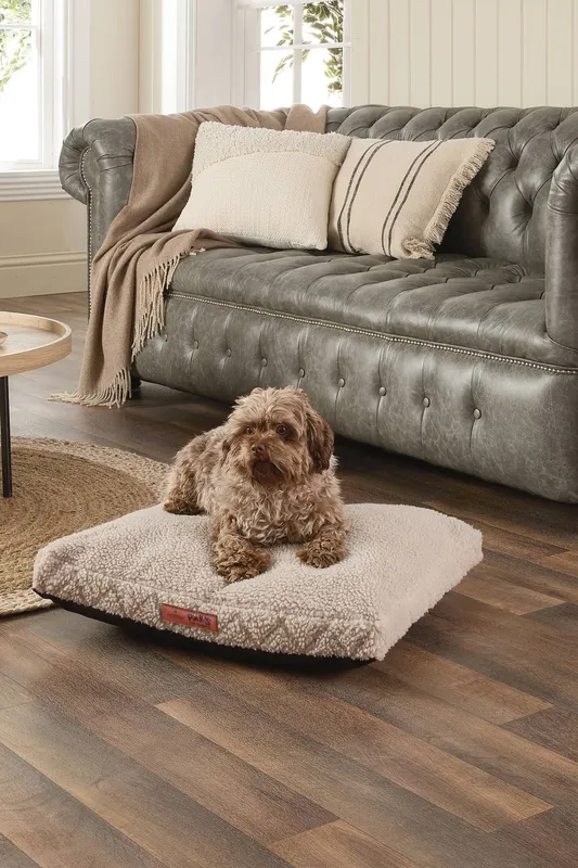 Slumberdown Paws for Slumber Sherpa Large Ped Bed in Beige - Beige