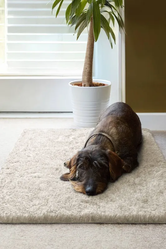 Slumberdown Paws for Slumber Vet Mat in Beige Size: Small - Beige - Size: S