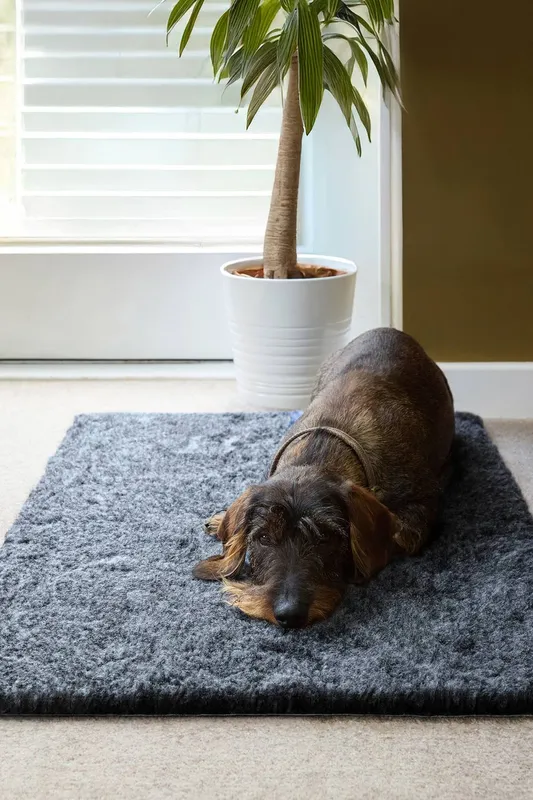 Slumberdown Paws for Slumber Vet Mat in Charcoal Size: Small - Charcoal - Size: S