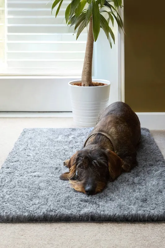 Slumberdown Paws for Slumber Vet Mat in Grey Size: Small Grey female