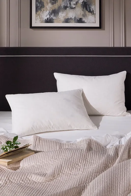 Snuggledown 2 Pack Hotel Goose Feather & Down Back Sleeper Pillow in White - White - Size: One Size