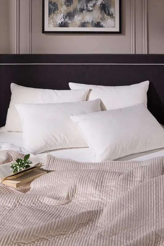Snuggledown Unisex 4 Pack Hotel Goose Feather & Down Back Sleeper Pillow in White White female