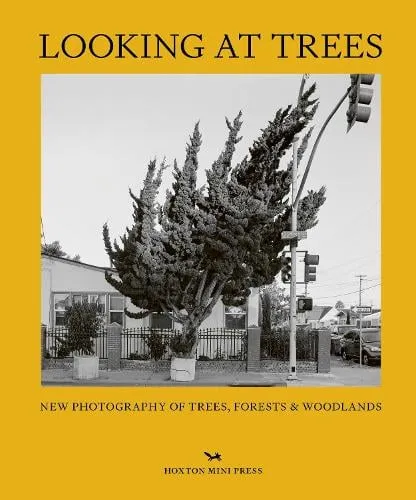 Sophie Howarth Looking At Trees