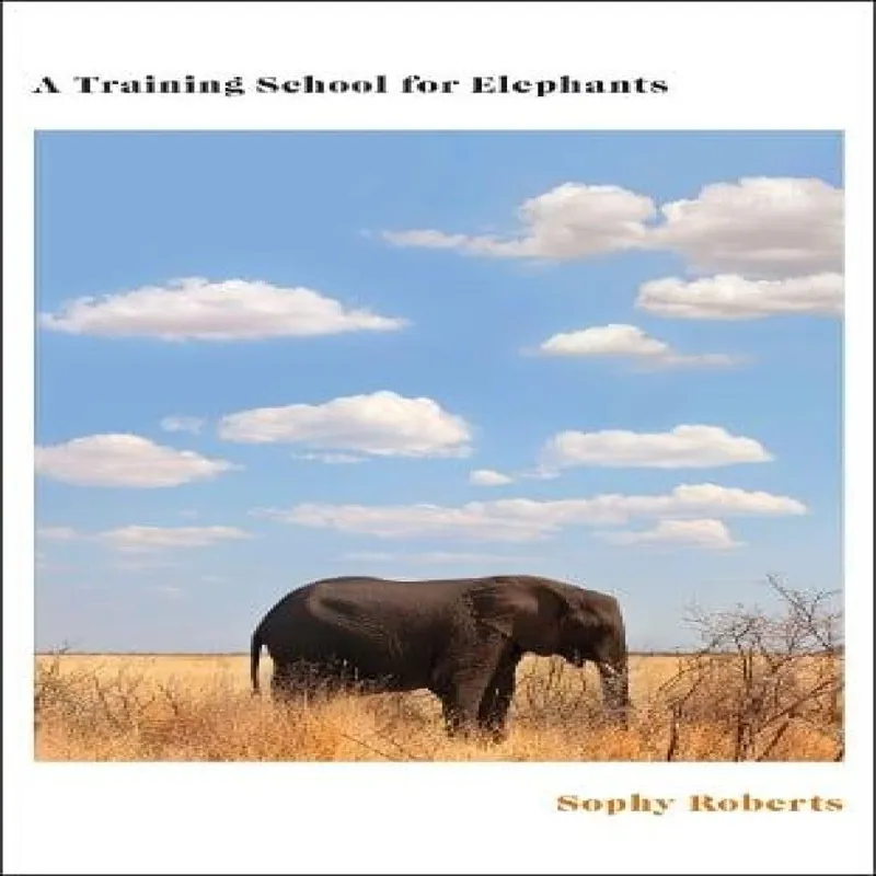 Sophy Roberts A Training School for Elephants