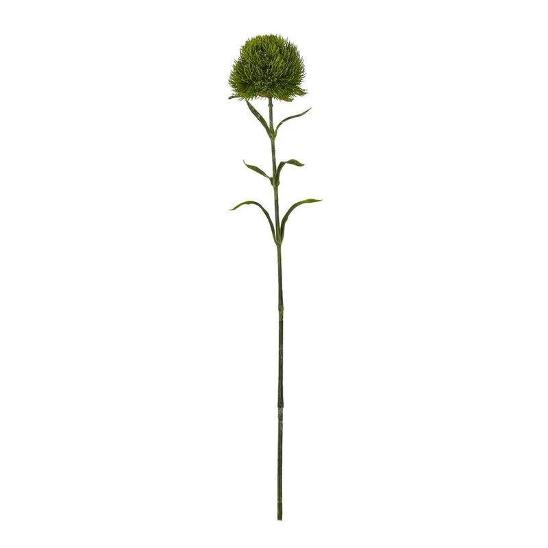 Sostter Dark Green Dianthus Stem Dark Green