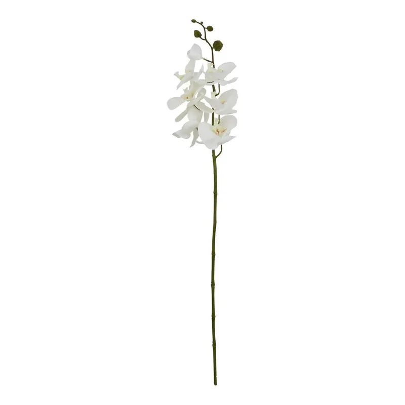 Sostter Large White Butterfly Orchid Stem White