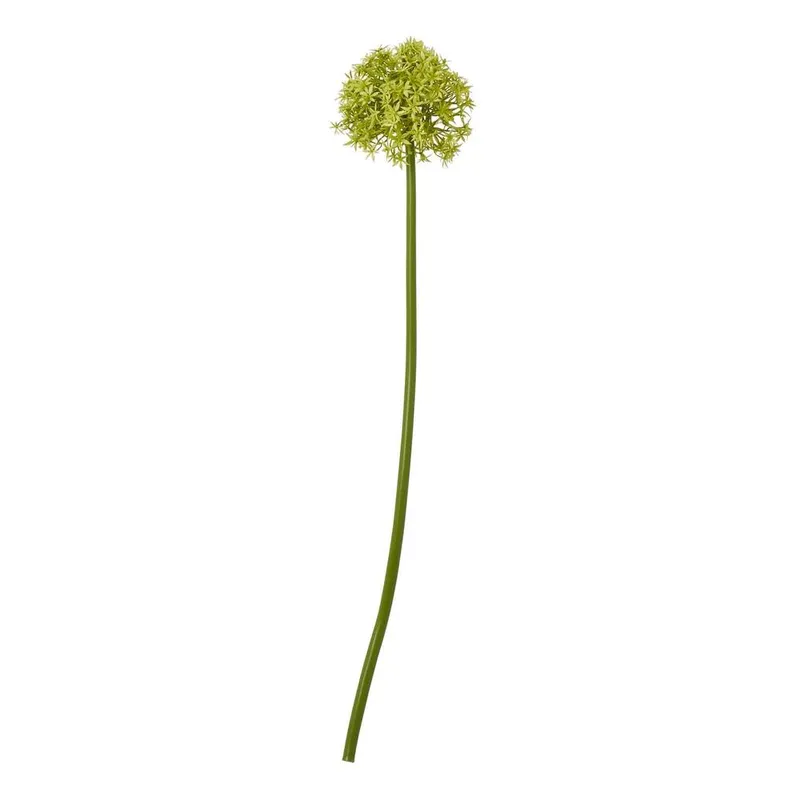 Sostter Lush Green Medium Allium Stem Green Medium