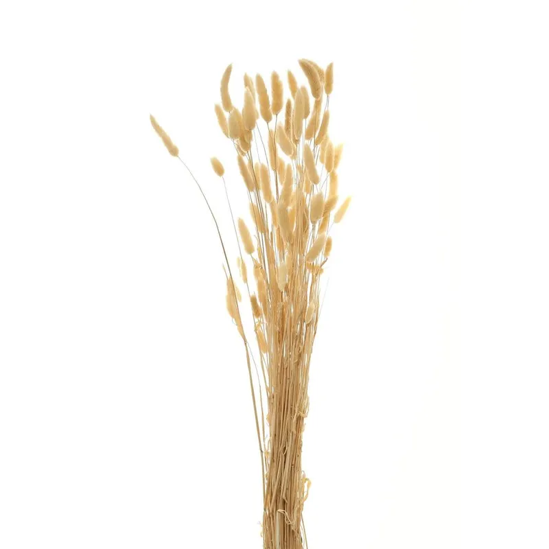 Sostter Tall Natural Bunny Tail Bouquet in Natural White - Natural White