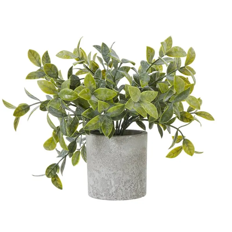 Sostter Small Faux Boxwood Plant in Grey Pot in Green Green