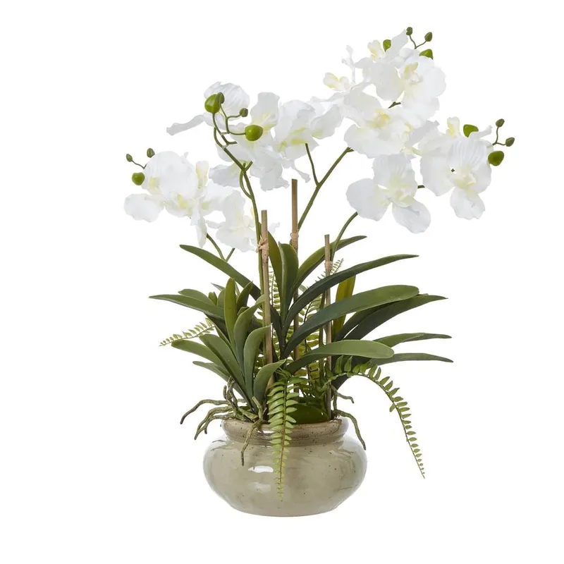 Sostter White Orchid in Ceramic Pot in Soft White - Soft White - Size: One Size