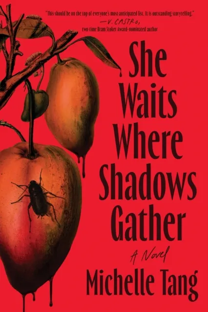 Sourcebooks, Inc She Waits Where Shadows Gather : A Novel
