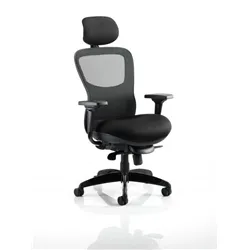 Stealth Ergo Posture Chair Black Seat And Mesh Back W