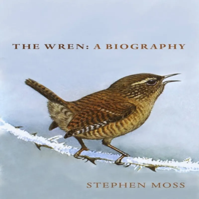 Stephen Moss The Wren