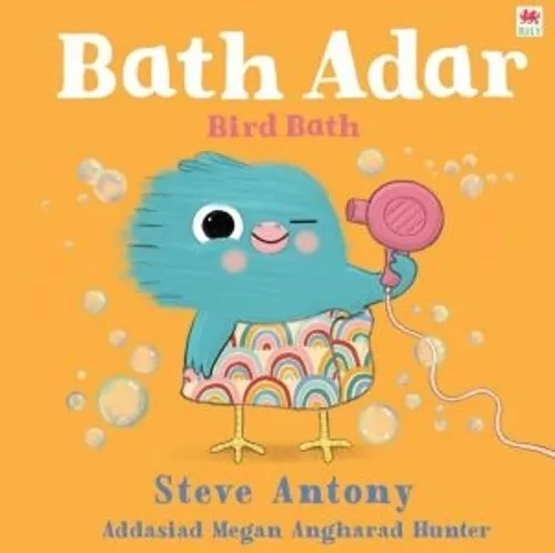 Steve Anthony Bath Adar / Bird Bath