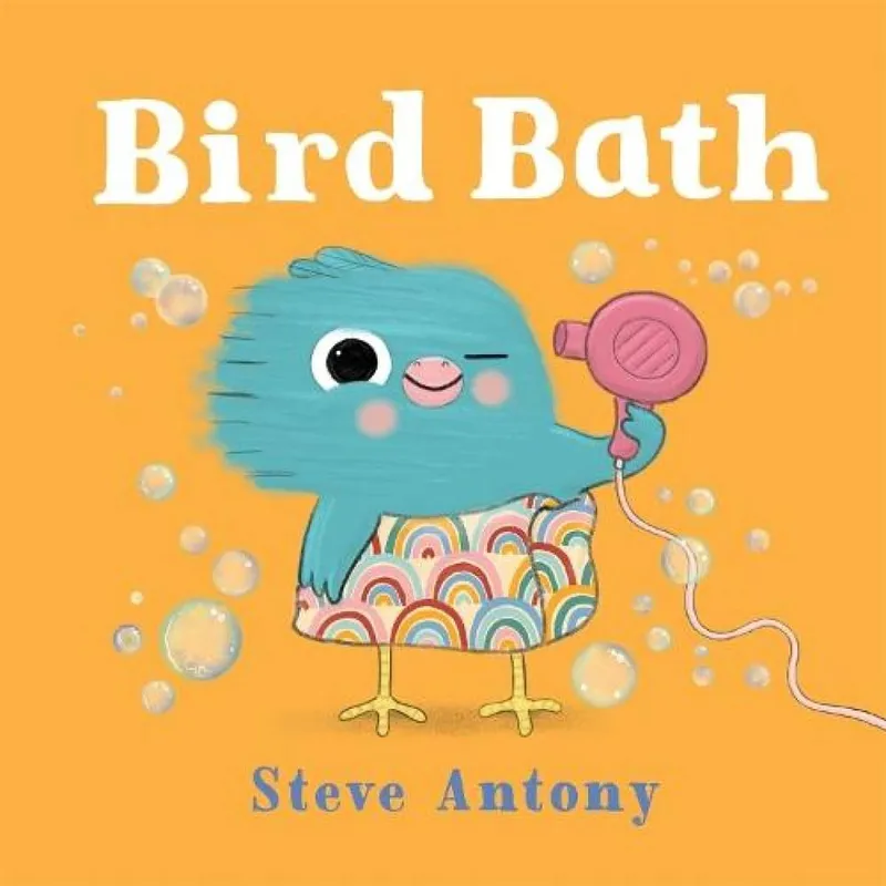 Steve Antony Bird Bath