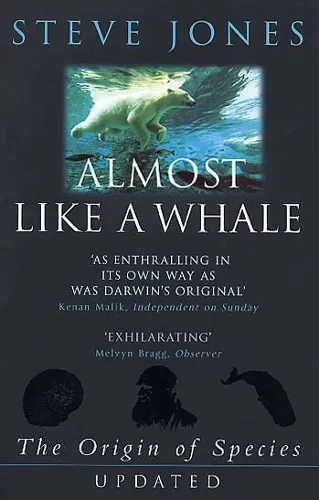 Steve Jones Almost Like A Whale