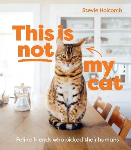 Stevie Holcomb This is not my cat