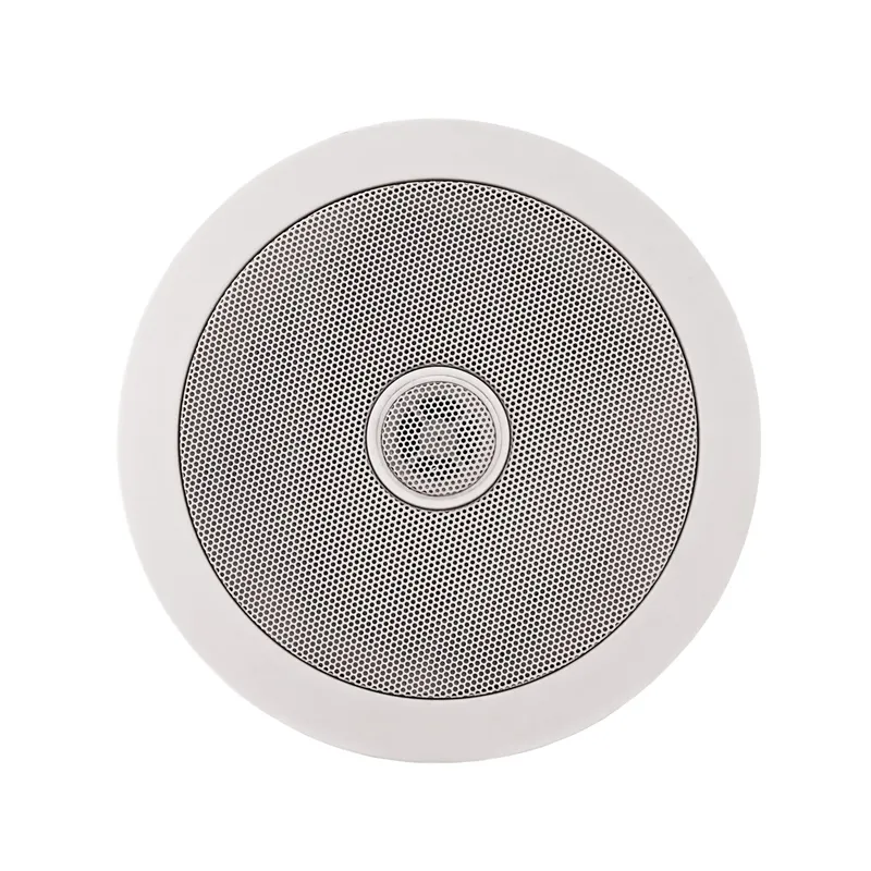 SubZero 5" Ceiling Speaker 100V Line